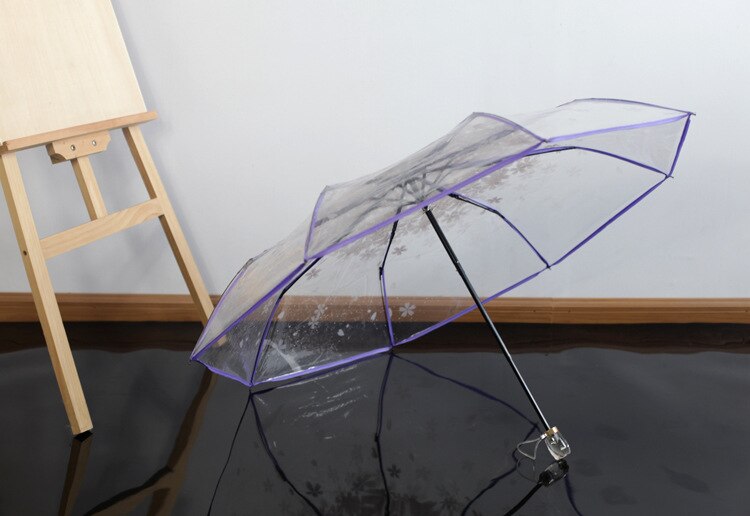 Anpassung von Prinzessin Regenschirm Werbung Regenschirm mit rean Klapp Apollo Transparent Arch und Drei Falten Regenschirm: Freier Raum