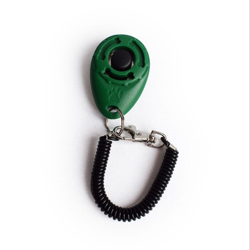 Haustier ausbildung Film katze und hund ausbildung kunststoff werkzeuge stehen-allein Trainer einstellbar Armbinde keychain Haustier Klang ausbildung: Grün