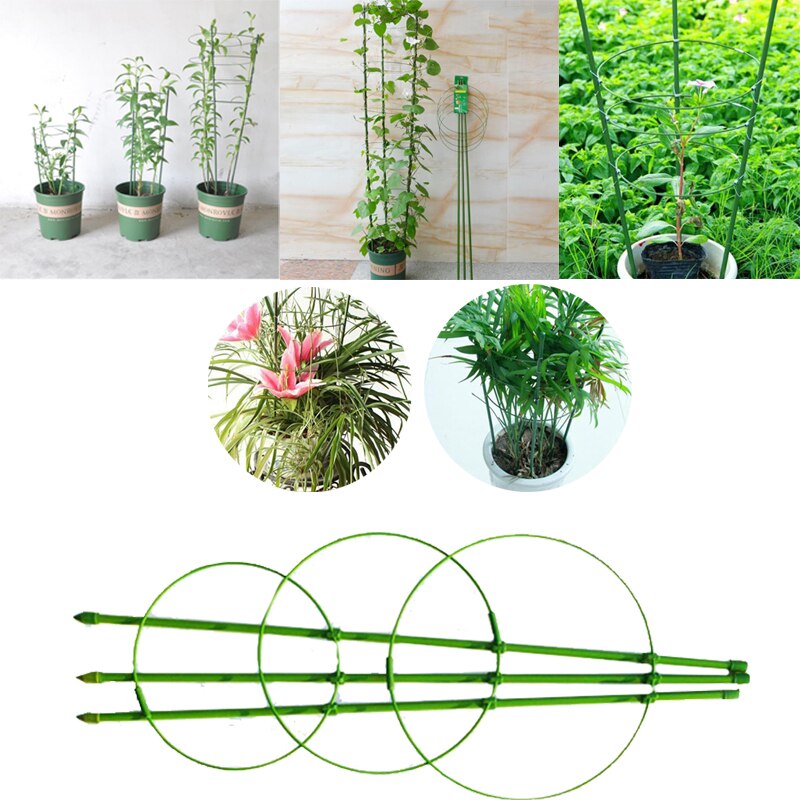 45 Cm Bloem Planten Clematis Klimmen Rack Ondersteuning Plank Huis Tuin Groene Landbouw Plant Grow