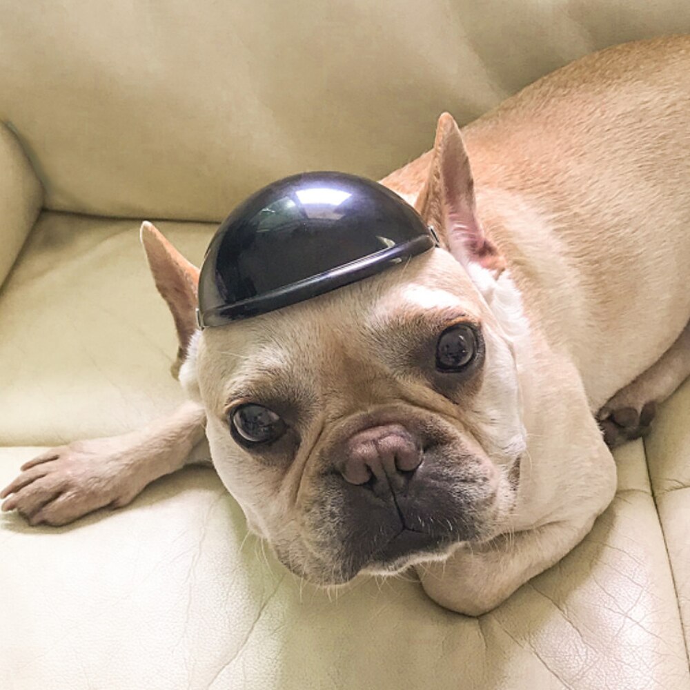 Neue Haustier Helm Hunde Motorrad Helm Hund Katze Zubehör Hund Spielzeug Hütte Headwear cool draussen Haustier Schützen