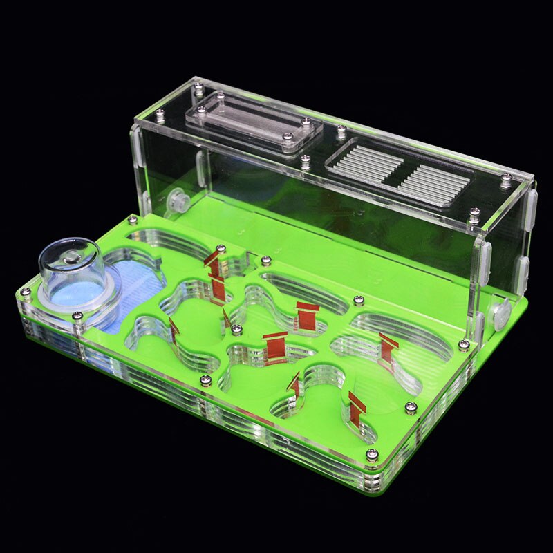 Granja acrílica de hormigas, hormiguero plano, grande, con área de alimentación y pared de taller, dimensiones 15*20*7.5cm: Verde
