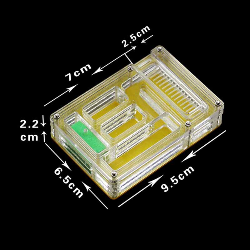 Acrylic Ant Farm Pet Breeding Box Insect Supplies Reptile Terrarium for Pet Lovers