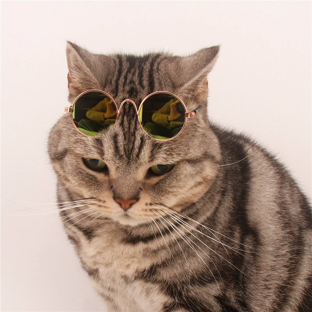 PipiFren 1PC Mooie Pet Kat Glazen Hond Bril Huisdier Zonnebril Voor Kleine Hond Kat Eye-wear Hond Zonnebril foto's Huisdier Producten