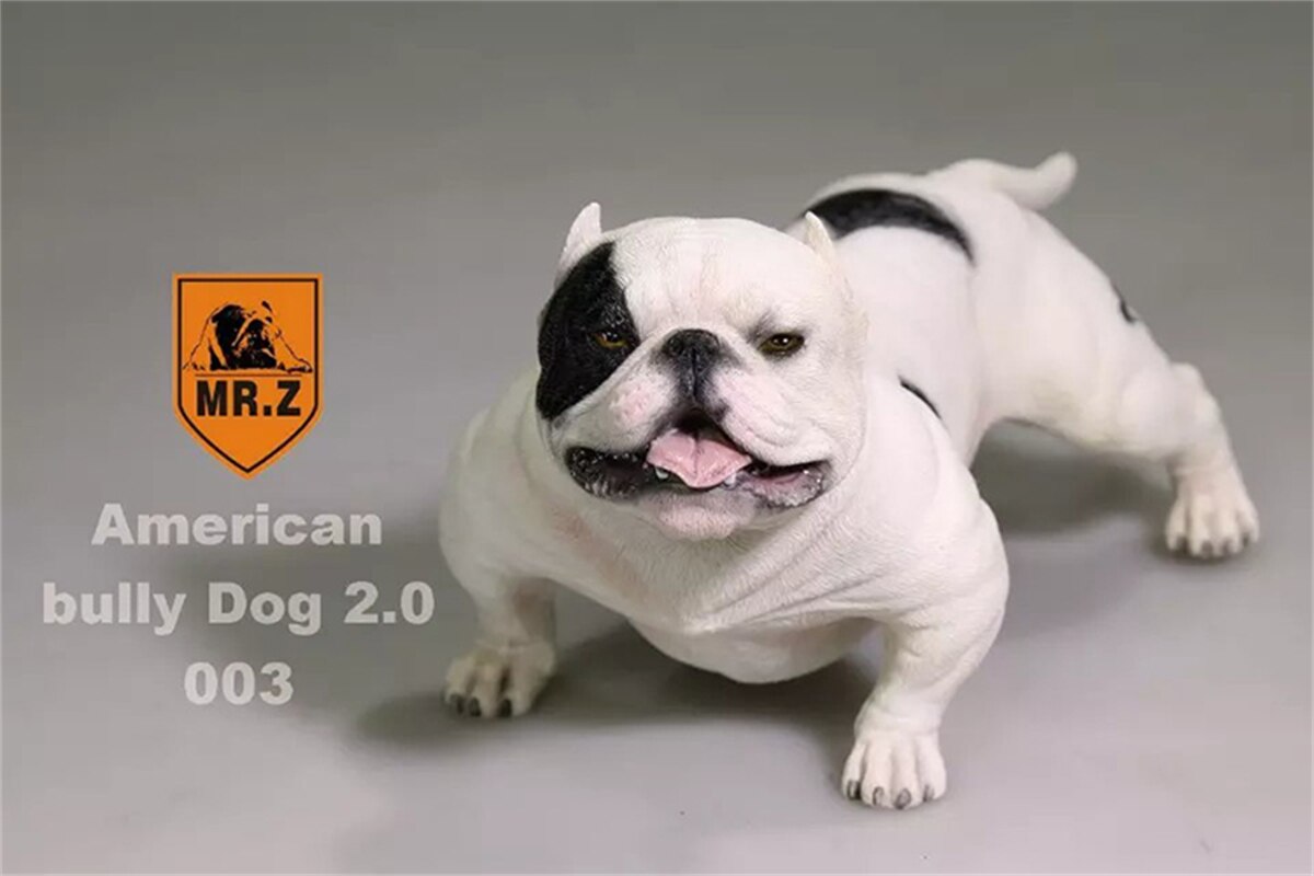 Mr.Z Studio 1:6 American Bully Pitbull Dog Pet Figure Animal Toy Collector Xmas Play Decoration Ornaments Hand To Do: 003