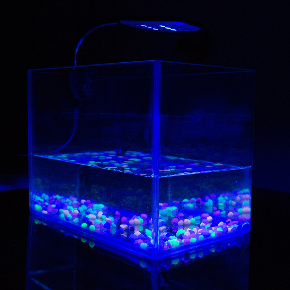 24 LED Aquarium Fisch Panzer hell Klemme Clip flexibel Weiß & Blau Beleuchtung Lampe EU EU/AU/uns/UK Stecker