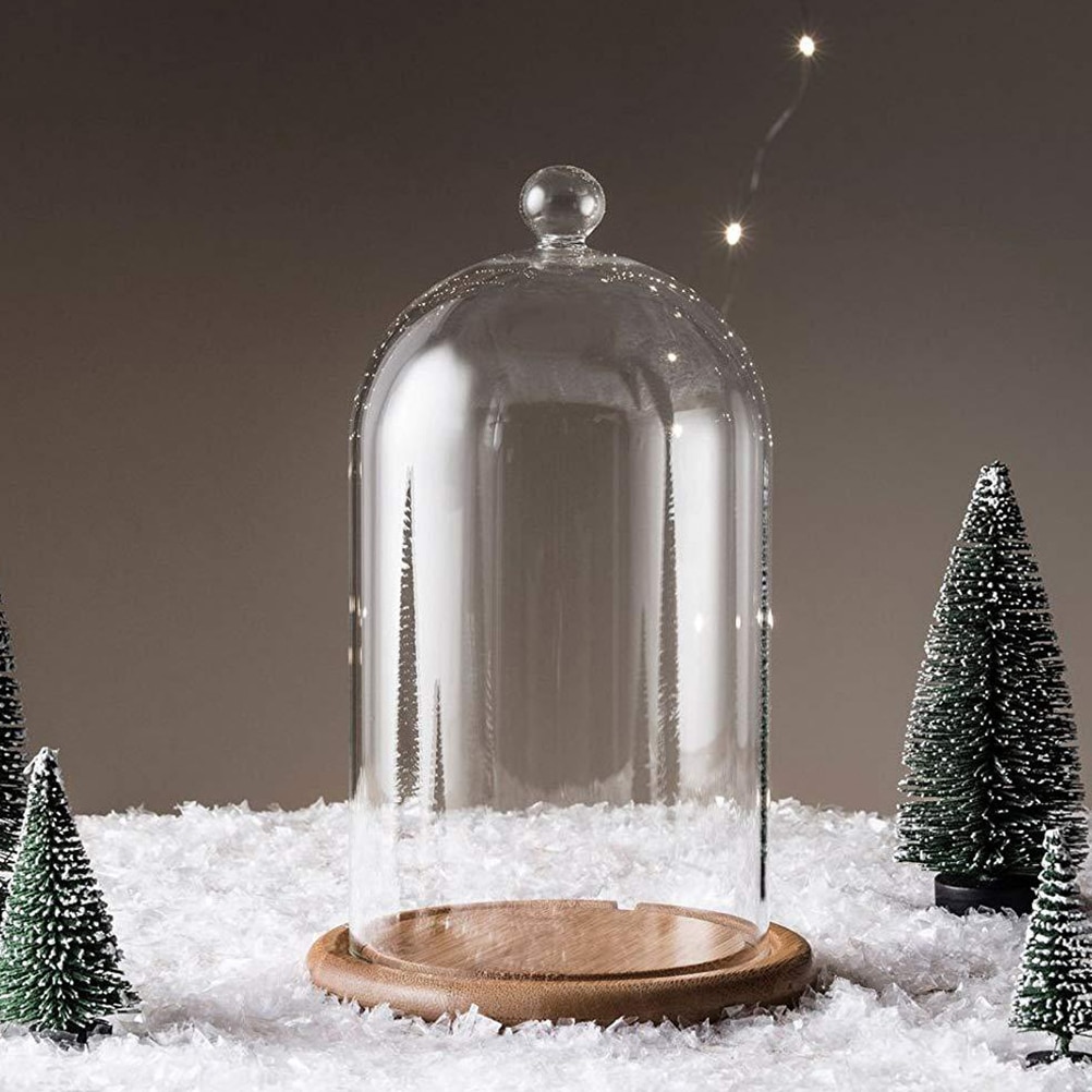 DuvinDD Glass Dome Cloche with LED Light Base, Bell
