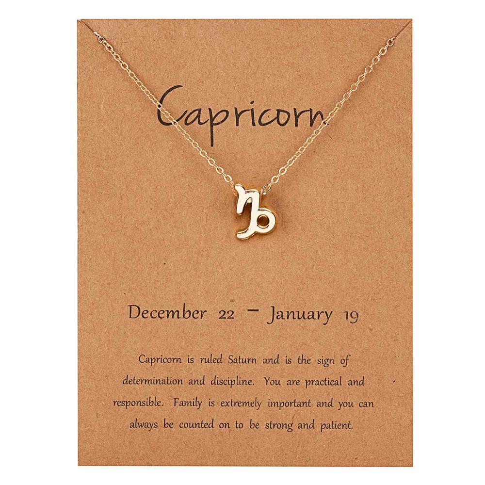 Rinhoo 12 Constellation Necklace Zodiac Sign necklace with Card Pendant Necklace charm Message Card Birthday for Women Girl: gold Capricorn