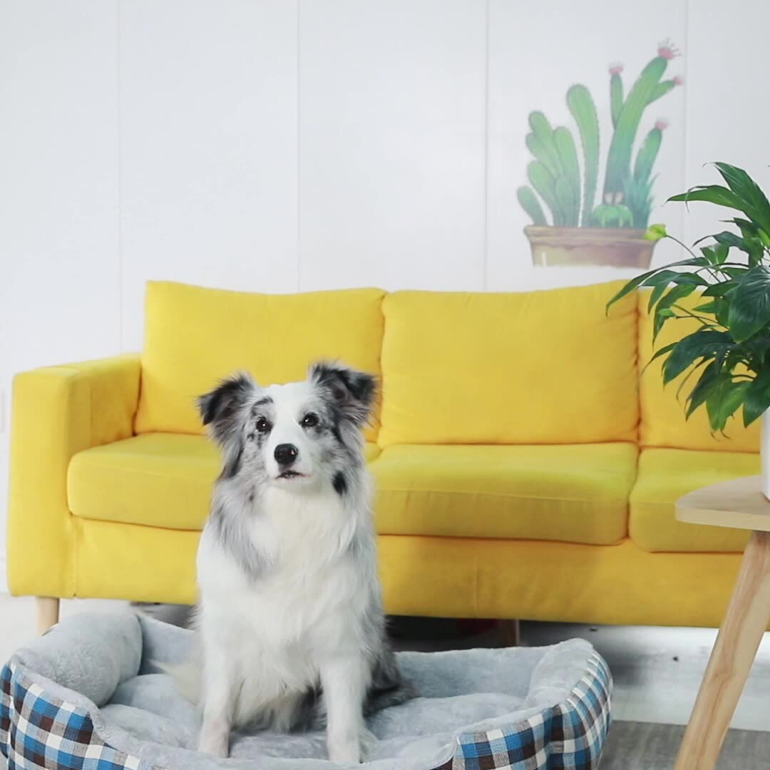 Camas grandes lavables para perros y gatos, sofá suave sin cremallera, cueva para cachorros, saco de dormir para mascotas, nido cálido de invierno