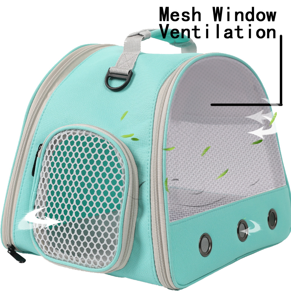Porte-cochon d'inde Portable clair, Cage de Transport pour Hamster, sac de voyage pour Reptile, petit lapin pour animaux de compagnie, Dragon barbu pour l'extérieur