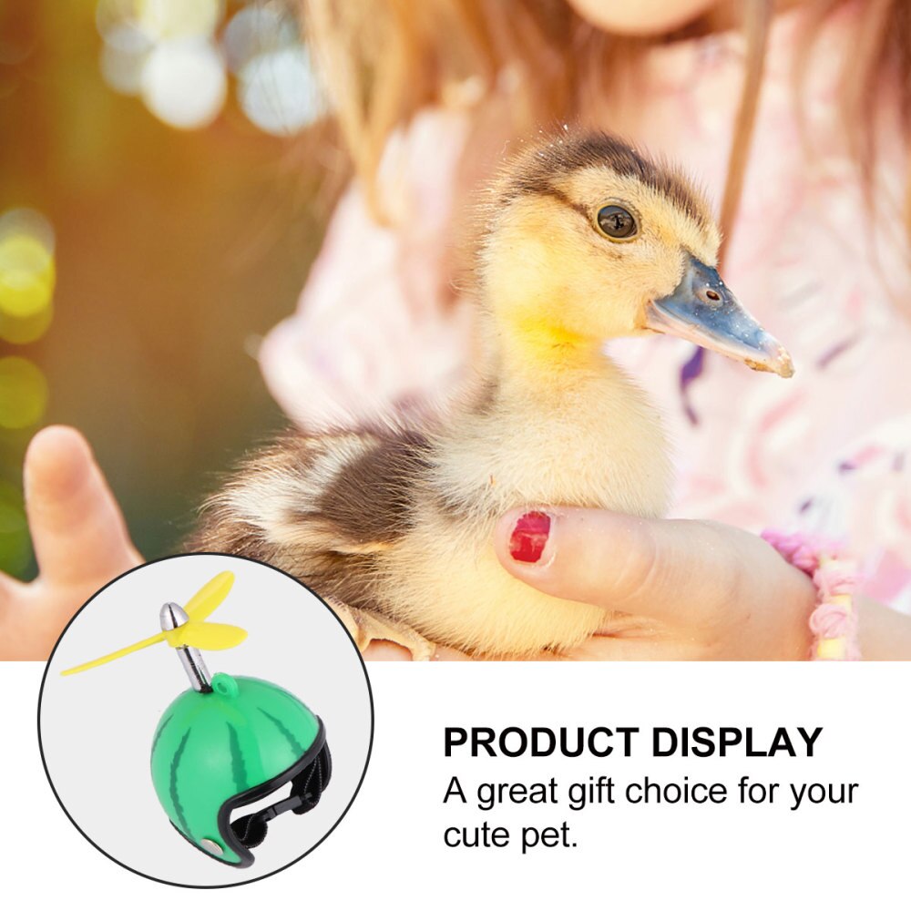 2pcs Chicken Helmet Protection Helmet Hens Pet Supplies Pet Hat for Chicken
