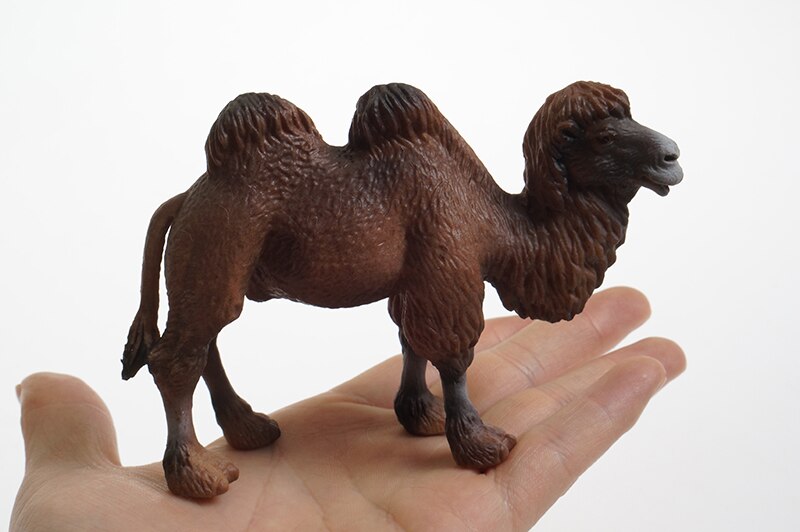 Gli Animali selvatici Modello di Materiali per la Lingua Zona In Età Prescolare Montessori Precoce Educativi Giocattoli IN PVC Giocattoli Montessori: camel