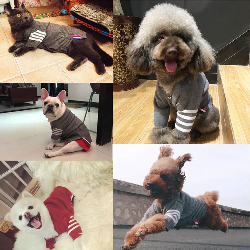 Hundetrøjer vinter varmt hundetøj strik kæledyrstrøjer til små mellemstore hunde mops chihuahua strik 11