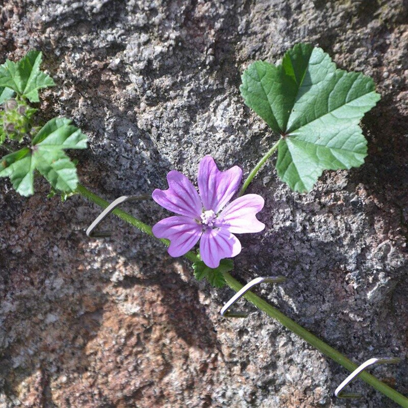 ! 50 Pack Galvanized Landscape Fabric Staples Garden Stakes 6 Inch Heavy Duty Landscape Pins