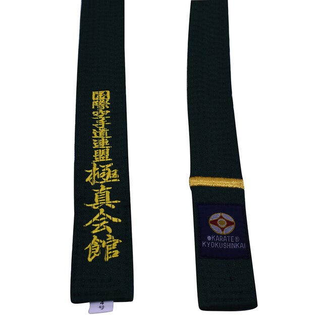 Professionele Kyokushin Kai Karate Riemen Iko Borduren Riemen Oranje Kleur Karate Riem 1 dan Brown Taekwondo Wkf Riemen: Green 1 Dan / 240cm