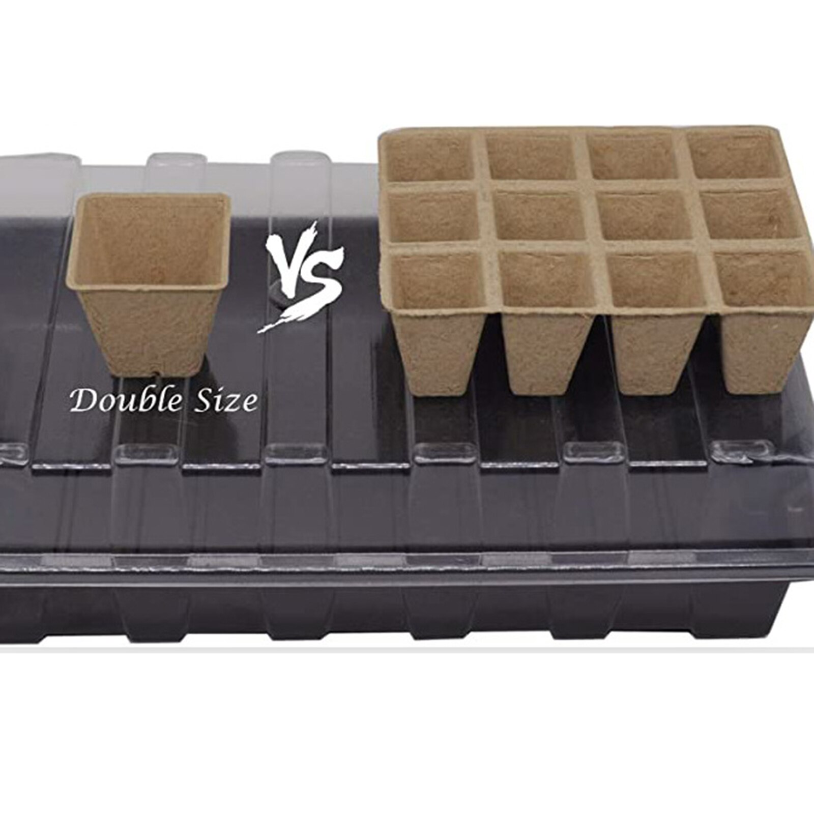 Seedling Tray Set with Transparent Lid Plant Germination Healthy Plastic Accessory