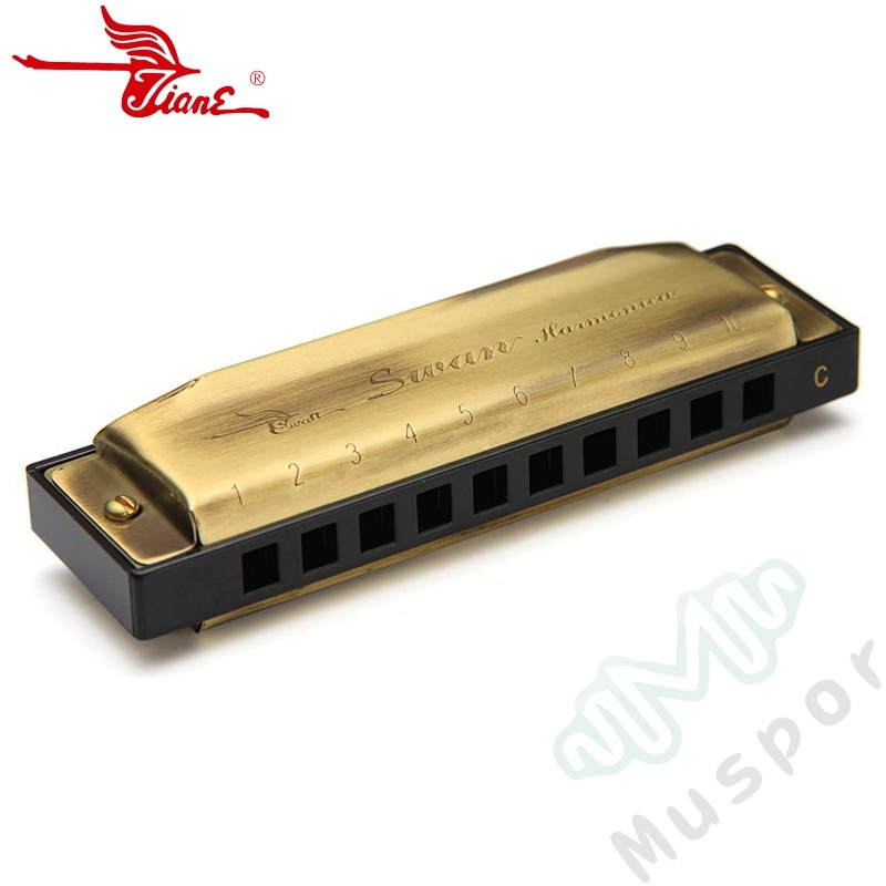 East top Blues-harmonica toets van Eb 10 gaten diatonische East top Blues-harmonica toets van Eb 10 gaten diatonische