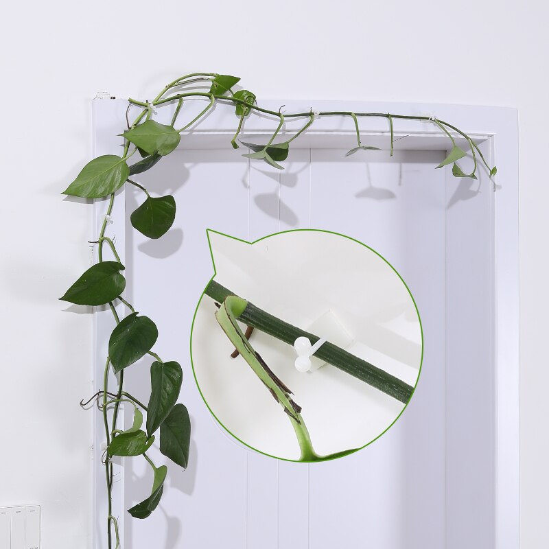 50 stk usynlig væg vinranke armatur væg sticky krog vin plante fixer plante klatrevæg klip plante klatrevæg armatur