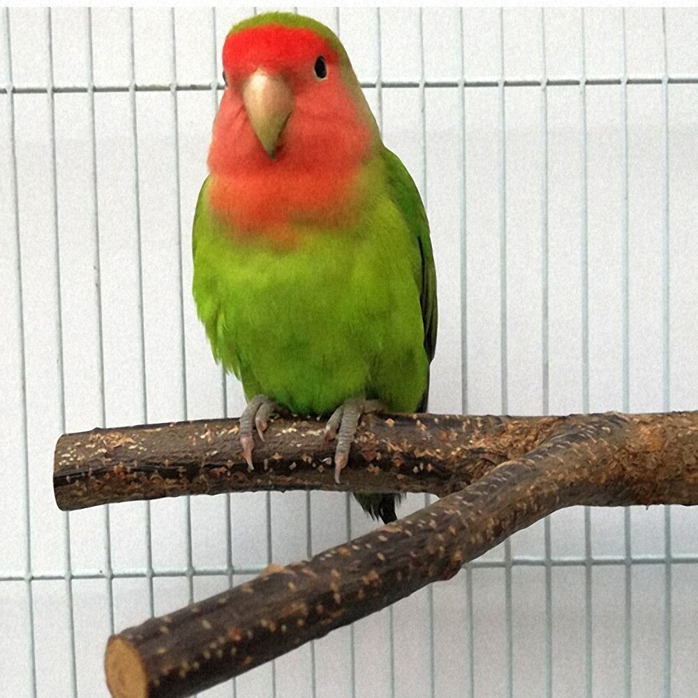 Parrot Perches Stand Parrot Accessories Wood Fork for Bird Stand Bird Cage Rest Holder Bird Toys Parrot Accessories Pet Supplies