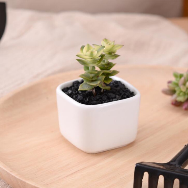 Brief White Ceramic Flower Pot Small Square Green Plant Holders Flower Container Pot Desk Balcony Garden Mini Plant Pot