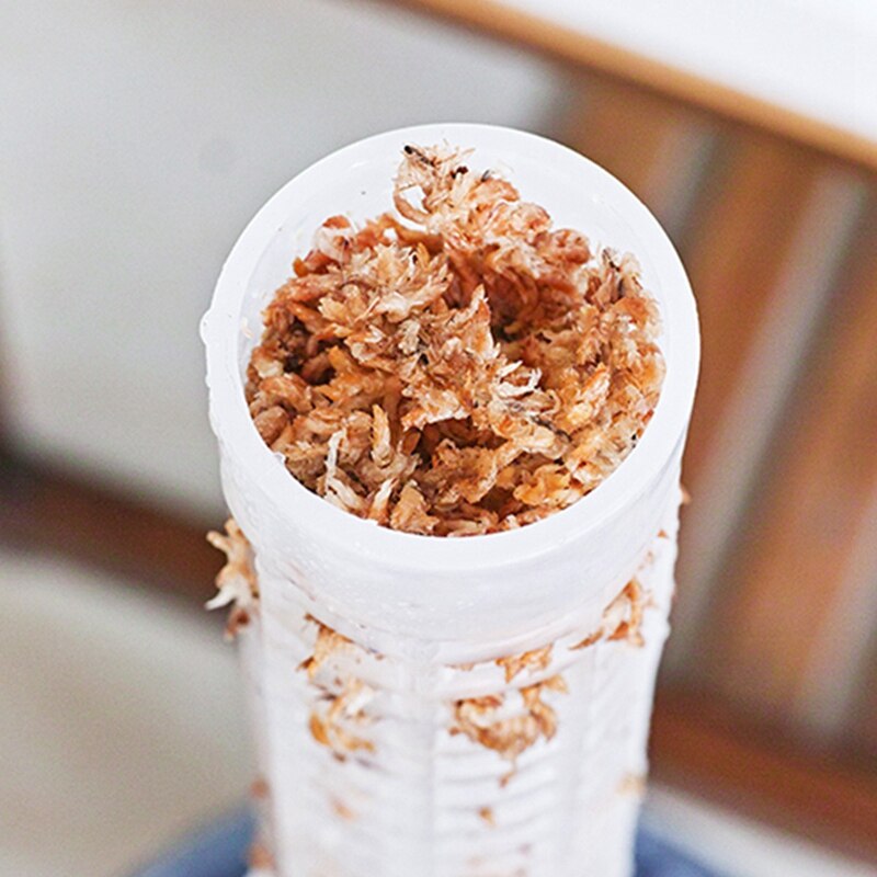 Bastone per piante rampicanti bastoncini di muschio di sfago supporto per coltivazione di piante bastoncino di palma da cocco ricco di fertilizzanti a tenuta d'acqua