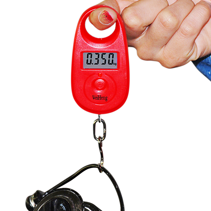 Mini báscula Digital electrónica de 25Kg y 5g, báscula electrónica para equipaje de bolsillo con peso para pesca, gancho para colgar, Mini balanza de pesaje LCD