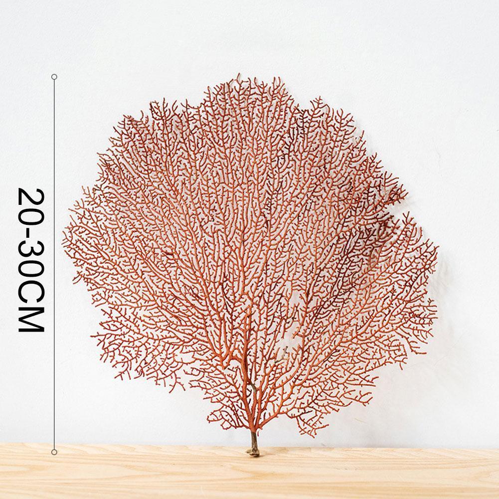 Natural Conch Shell Simulation Sea Willow Sea Tree Tree Decor Frame Branch Craft Landscaping Submarine Coral Coral Photo Ho U1X3