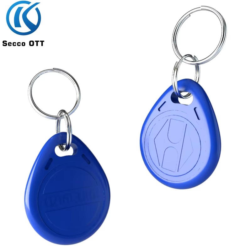 Tarjeta de Control de acceso RFID de 125KHz, llavero EM4100, Chip de solo lectura, etiqueta de identificación, tarjeta de proximidad para Control de acceso, tiempo de asistencia, 10 Uds.