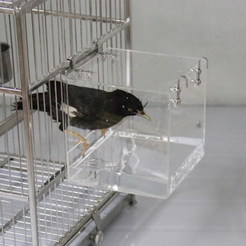 Papegaaien Acryl Douche Valkparkiet Vogel Bad Transparant Dierbenodigdheden Parkieten Cage Huis Ruime CleaningJ99Store