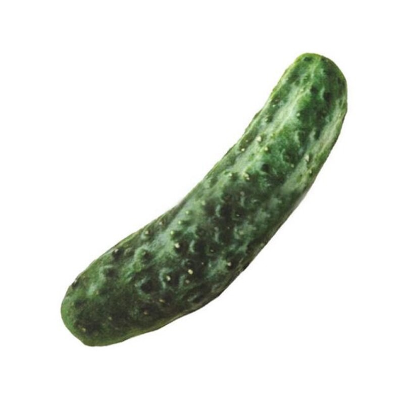 Hundleksaker bitsäker bomull tuggleksak valp interaktiva små leksaker grönsakstrumpinne för hundar katter husdjur produkter tillbehör: Gurka