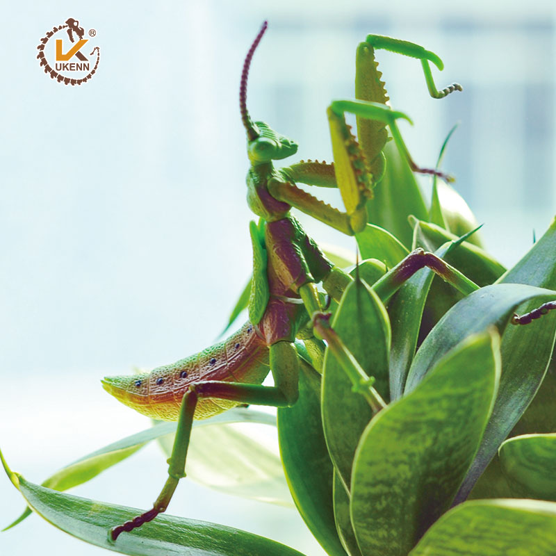 4 stuks Dier Insect Puzzel Educatief Wetenschap Speelgoed voor Kids-24 soorten Insecten