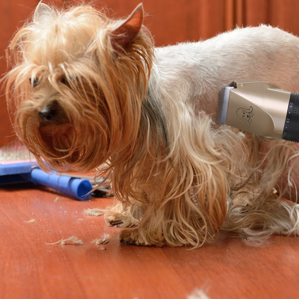 Oplaadbare Hond Haar Trimmer Elektrische Hond Cutter Pet Grooming Kit Clipper Puppy Kapsel Scheerapparaat Machine Trimmen Tool