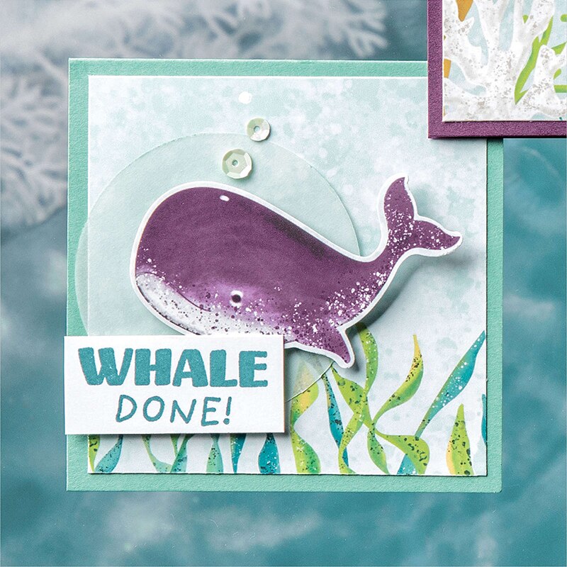 Animal en el océano ballena tortuga de mar medusas algas sellos y de corte de Metal muere Scrapbooking papel de corte para hacer la tarjeta