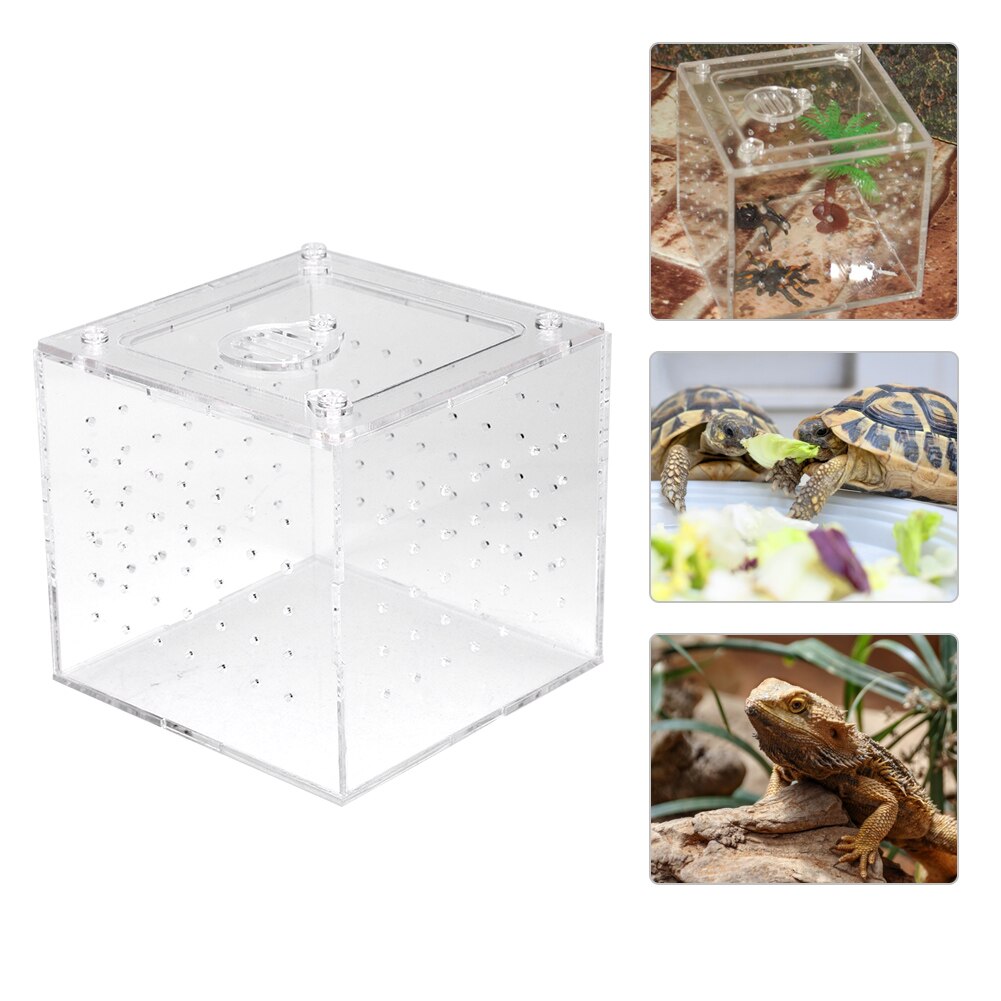 Acryl Spinnen Hagedis Schorpioen Enti 'S Acryl Gemonteerd Reptiel Fokkerij Doos Transparant Insect Terrarium Ademend
