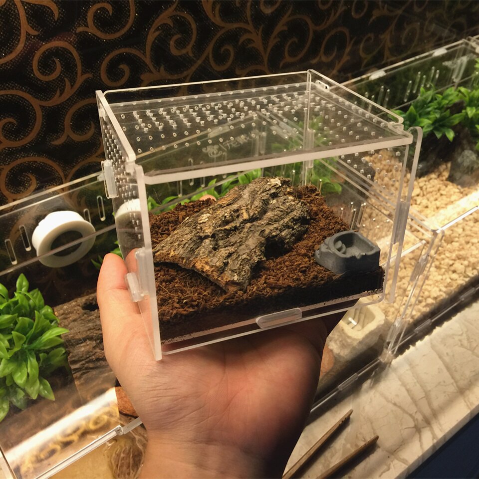 Acrylic Insect Cage with Accessories Spider Lizard Reptile Breeding Box Reptile Terrariums Reptile Home Box Gecko Tortoise House