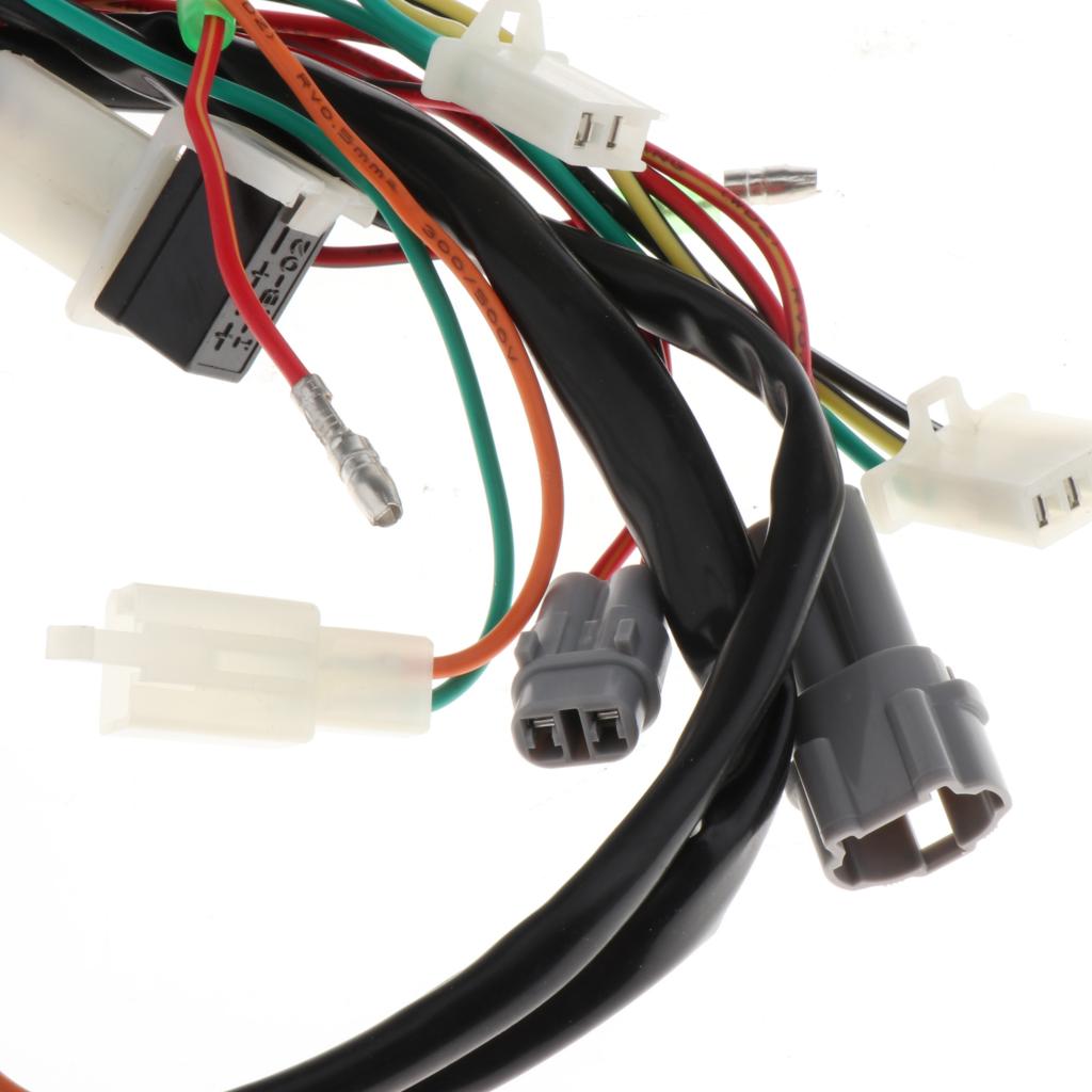 Wiring Harness Loom, Ignition CDI Control Unit Coi... – Grandado