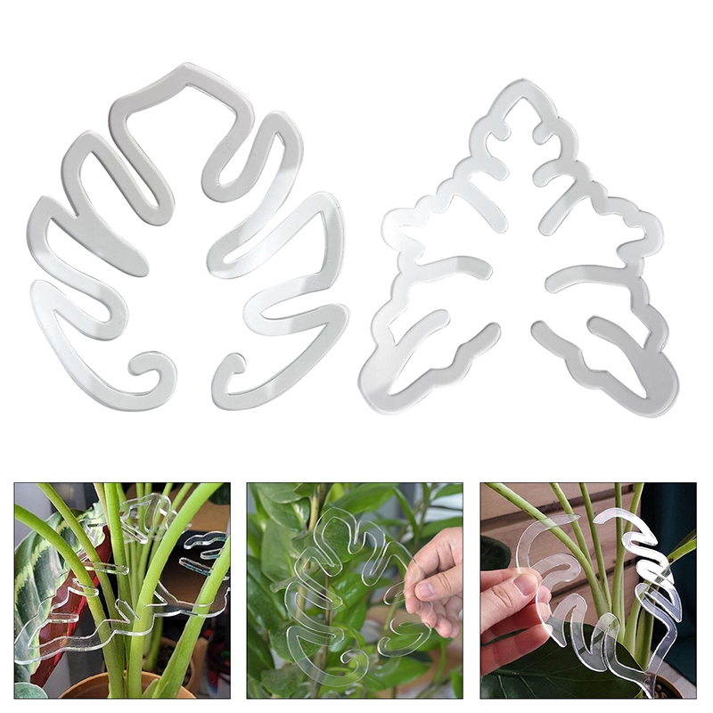 Monstera Pflanzensttze Pflanzenhalter Blattform P...  Grandado