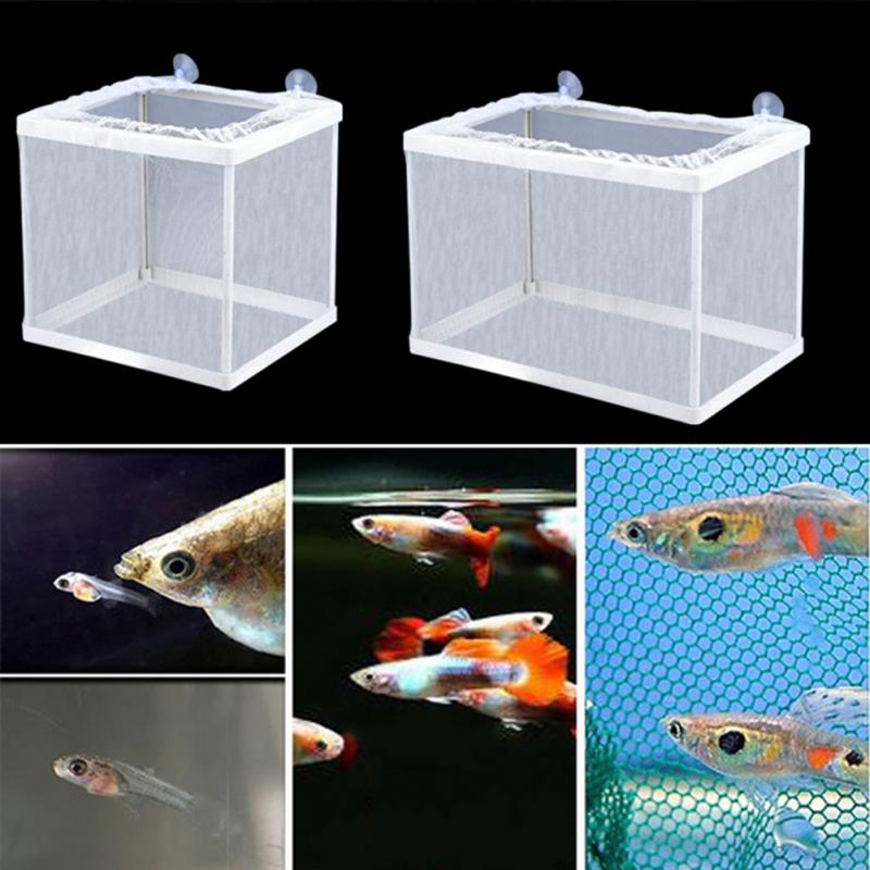 Broederij Aquarium Fokker Incubator Netto Breeding Fry Frame Isolatie Box Nuttig