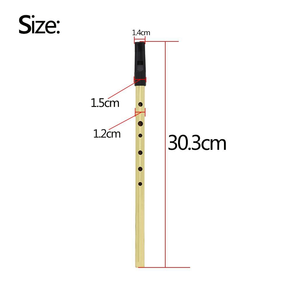 IRIN Irish Whistle Flute D Key Ireland Flute 6 Hole D Tone Gold Orff Musical Instrument Flute 30.3*1.5*1.2cm