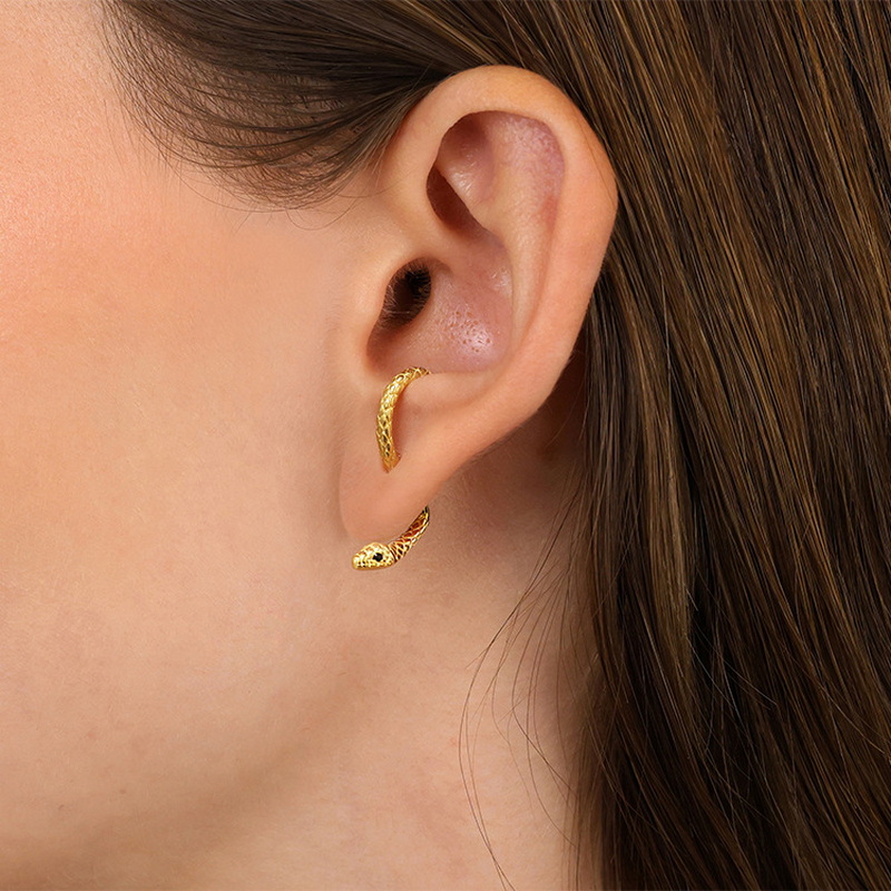 Pendientes de bobinado en forma de serpiente para hombres y mujeres, Color dorado, Vintage, Punk, Animal, Metal, fresco, hip hop, joyería de ,: Bronze
