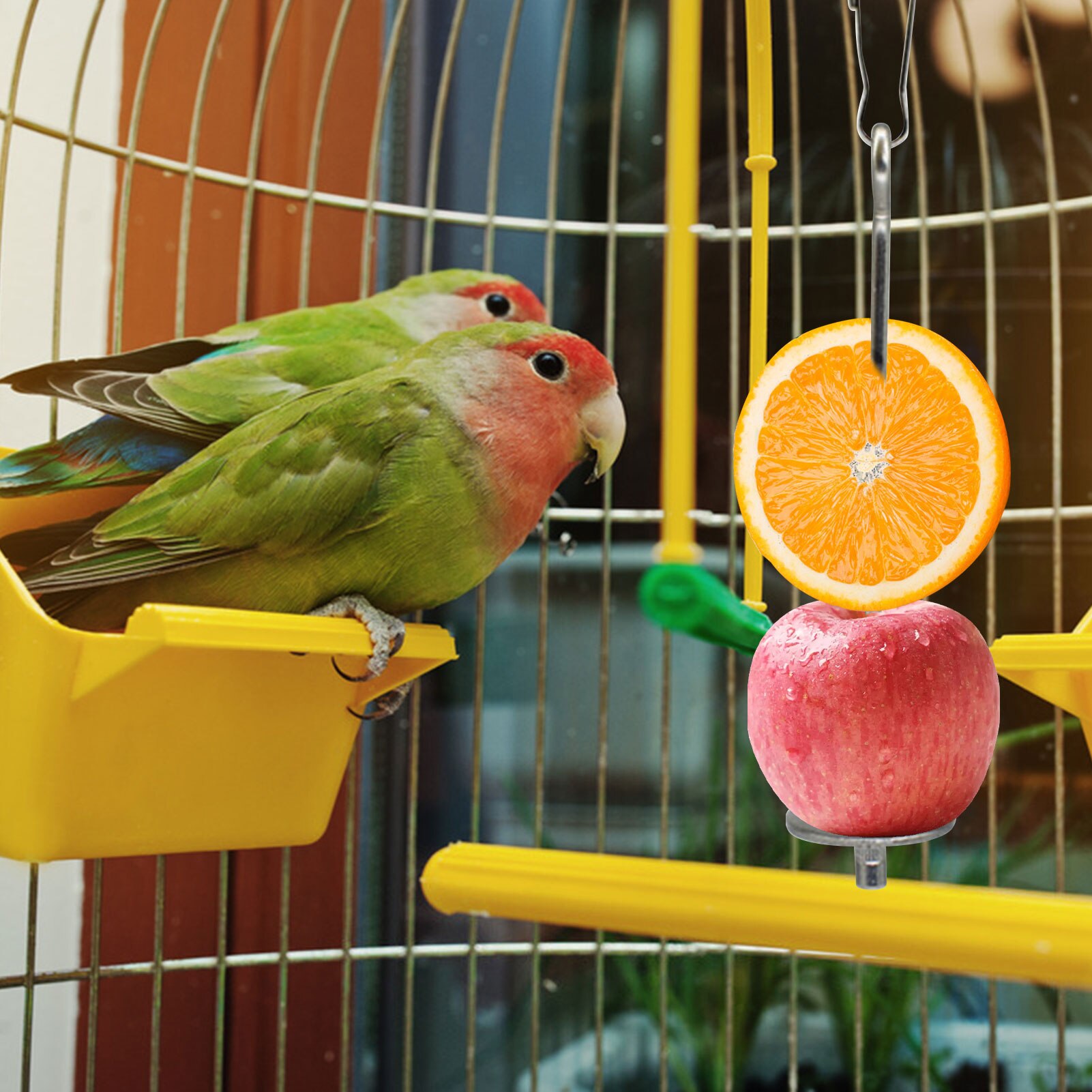 16cm/23cm Stainless Steel Small Parrot Toy Meat Food Holder Stick Fruit Skewer Bird Treating Tool Bird's Cage Accessories