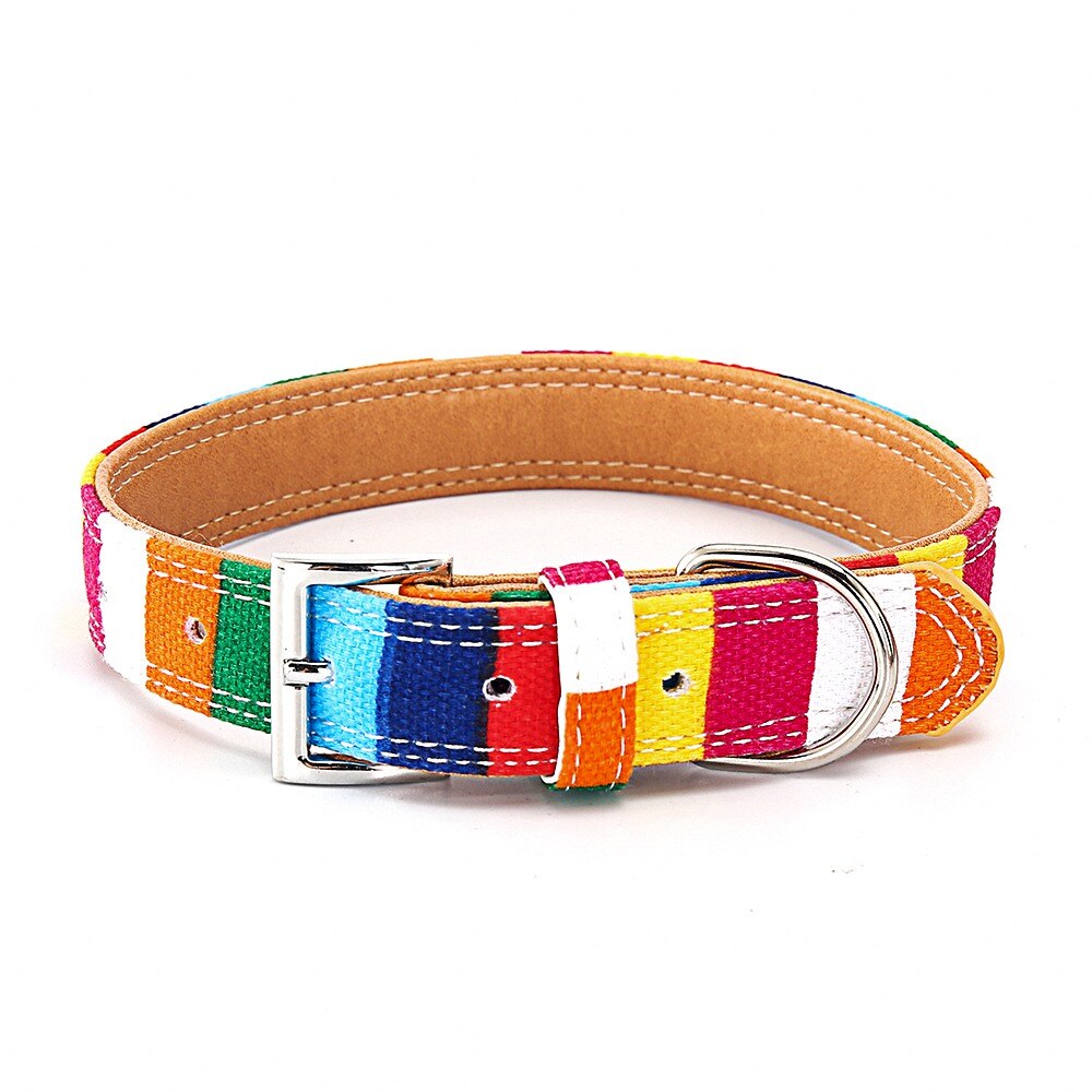 Hondenriem, kleurrijke gestreepte basis hondenriem, halsband voor honden, puppytouw, hondentuigje, chihuahua, kattenriem, huisdieraccessoires  lx0002: Kleurrijke kraag / Zoals foto's