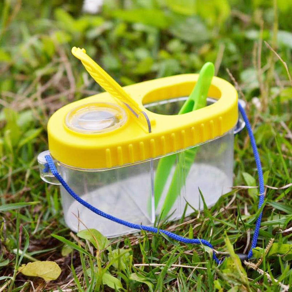 Insekter små djur förstoringsglas glas cylindrisk spindel pedagogiska leksak plastflaska insekter betraktare ankomster: 5
