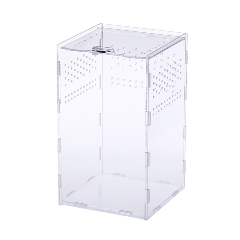 Insect Voerbox Transparante Acryl Terrarium Container Voor Spinnen Scorpions