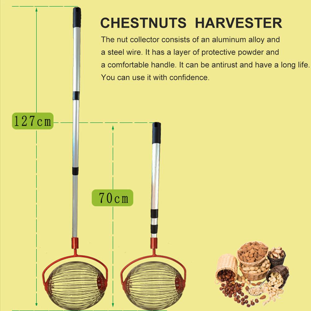 Cosechadora de nueces y castañas, rodillo retráctil para recoger tuercas, Bola de aleación de aluminio, recolector de frutas de jardín, herramienta para Orchards familiares