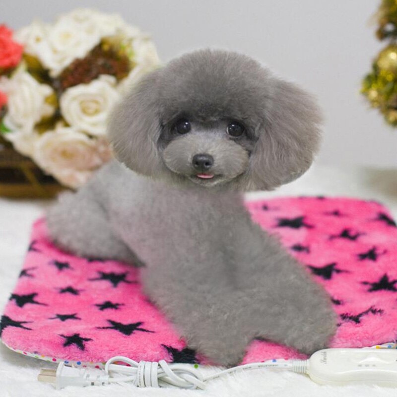 Hondenbed, huisdier, warm, elektrisch verwarmd kussen, mat, deken, gezellig bed, hond, kat, honden, konijn, verwarming, mat, deken, bed, bed