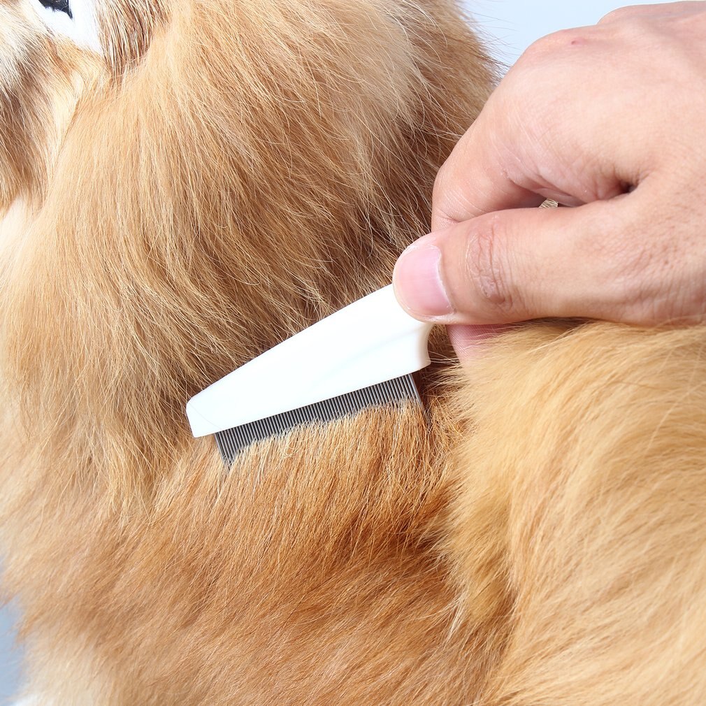 Bescherm Flea Kam Voor Katten Honden Huisdier Rvs Comfort Flea Haar Grooming Gereedschap Ontworming Borstel Korte Lang Haar bont
