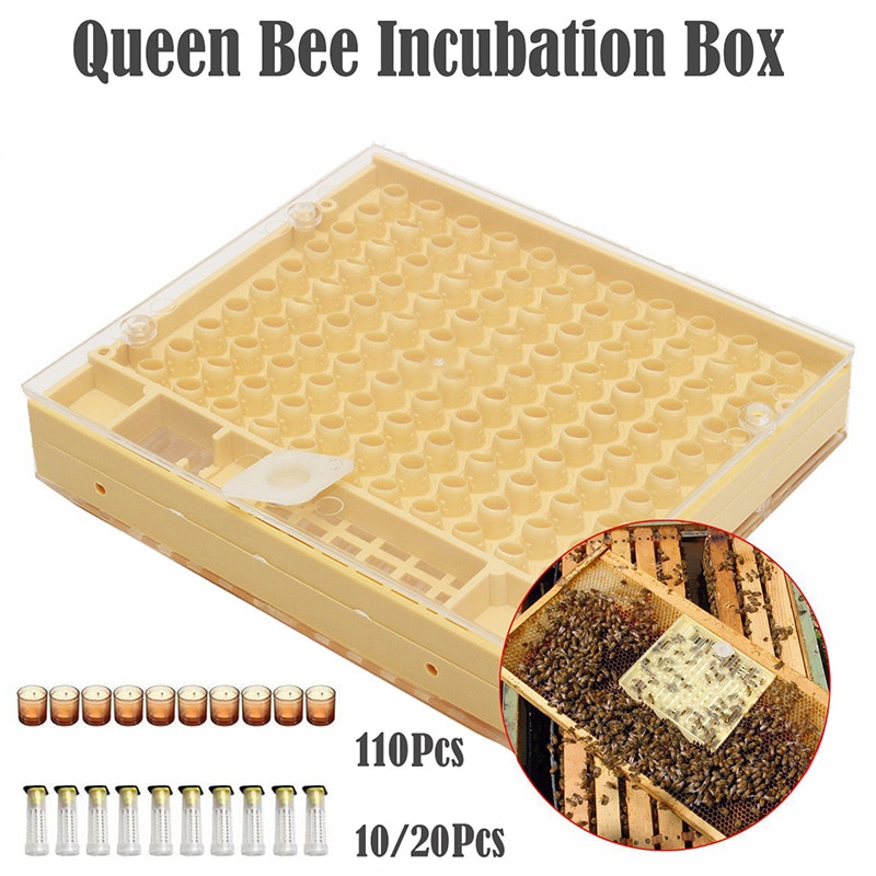Beekeeping Tools Set Rearing System Cultivating Box 110pcs Plastic Cups Bee Nicot Complete Catcher Cage Beekeeping Tools