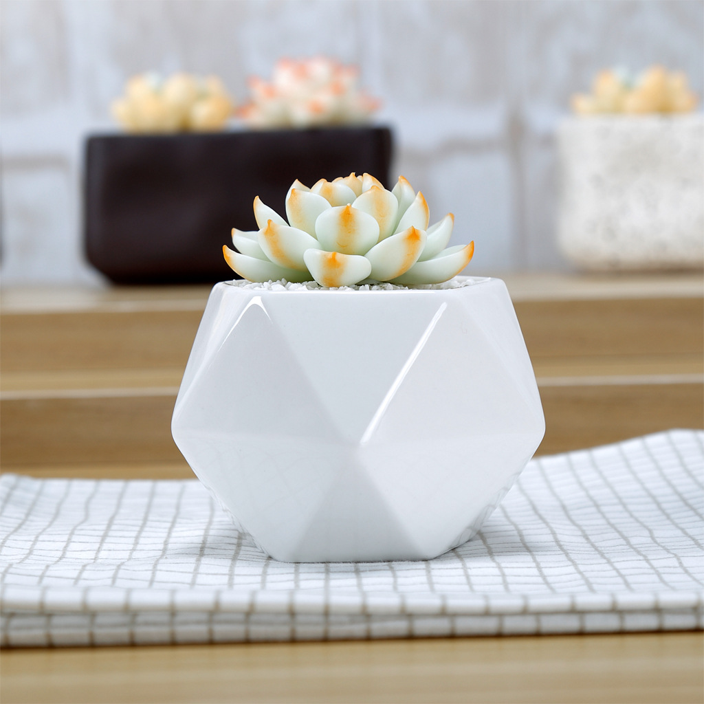 Maceta de flores suculentas de pentagonal con costura triangular de cerámica blanca creativa, maceta casera para Cactus Lithop con maceta de agujero inferior
