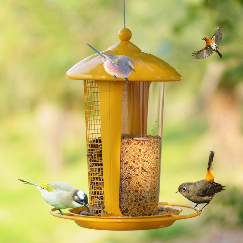 Outdoor bird feeder thrush pigeon swallow bird bird food feeder with spacer piece automatic cutting ZP12181741