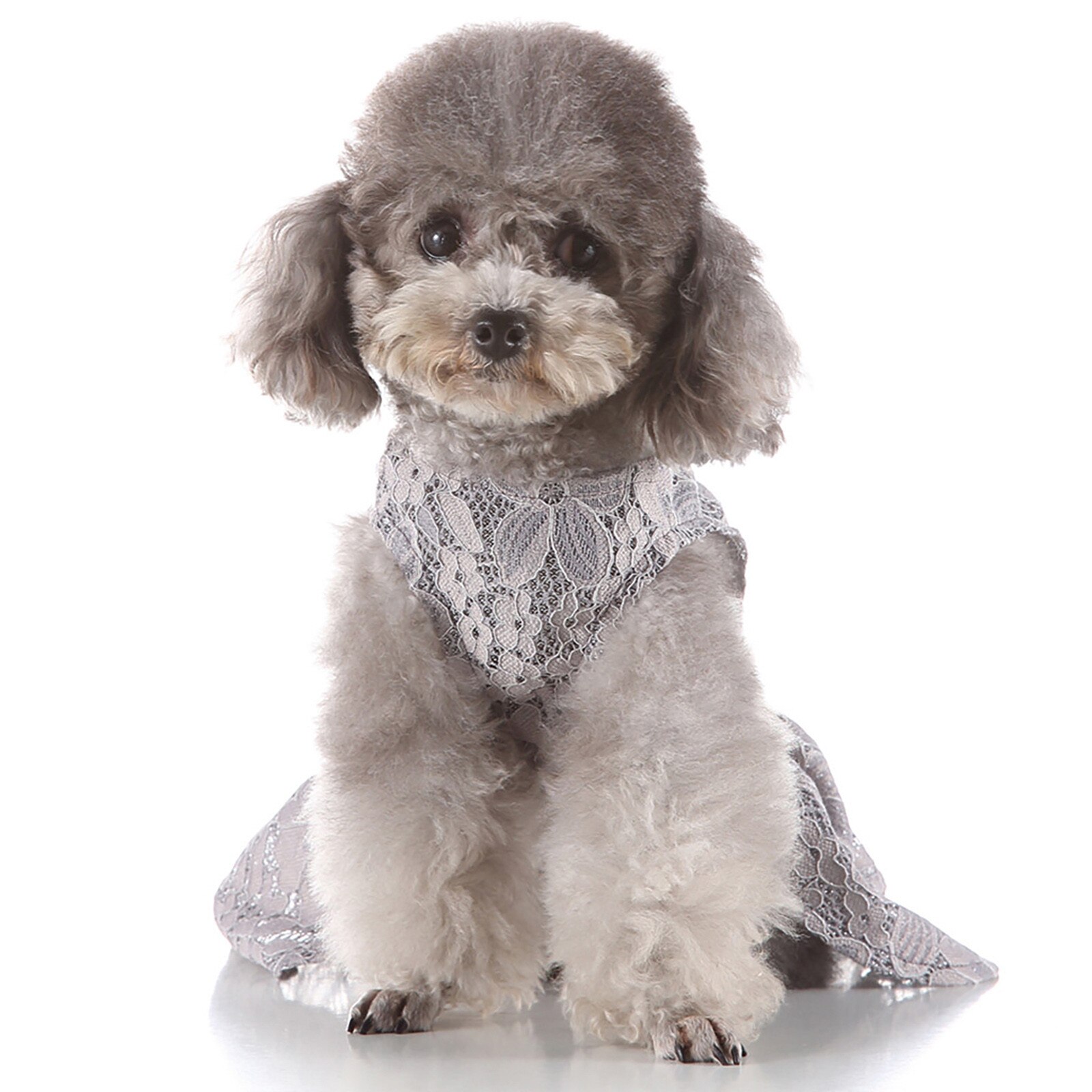 Dog Costumes Lace Dog Clothes Pet grooming clothes Spring And Summer Fine Print Dress Pet Costumes Pet Dog Clothes